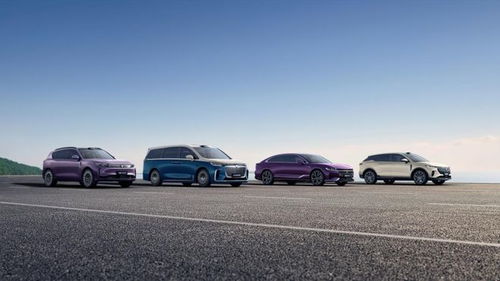 嵐圖汽車謀變 產品與技術雙輪驅動，沖刺港股奔赴新戰場