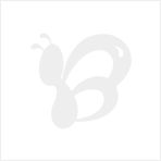 彩繪達人DIY數(shù)字油畫 江南水鄉(xiāng)系列5000款新品代理，廠家直供代發(fā)貨全攻略